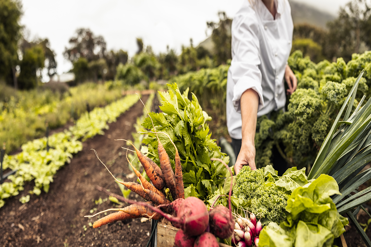 Take the Guessing out of Organic