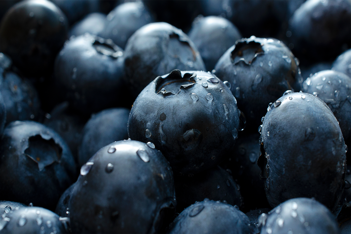 The New Antioxidants: Great Protectors