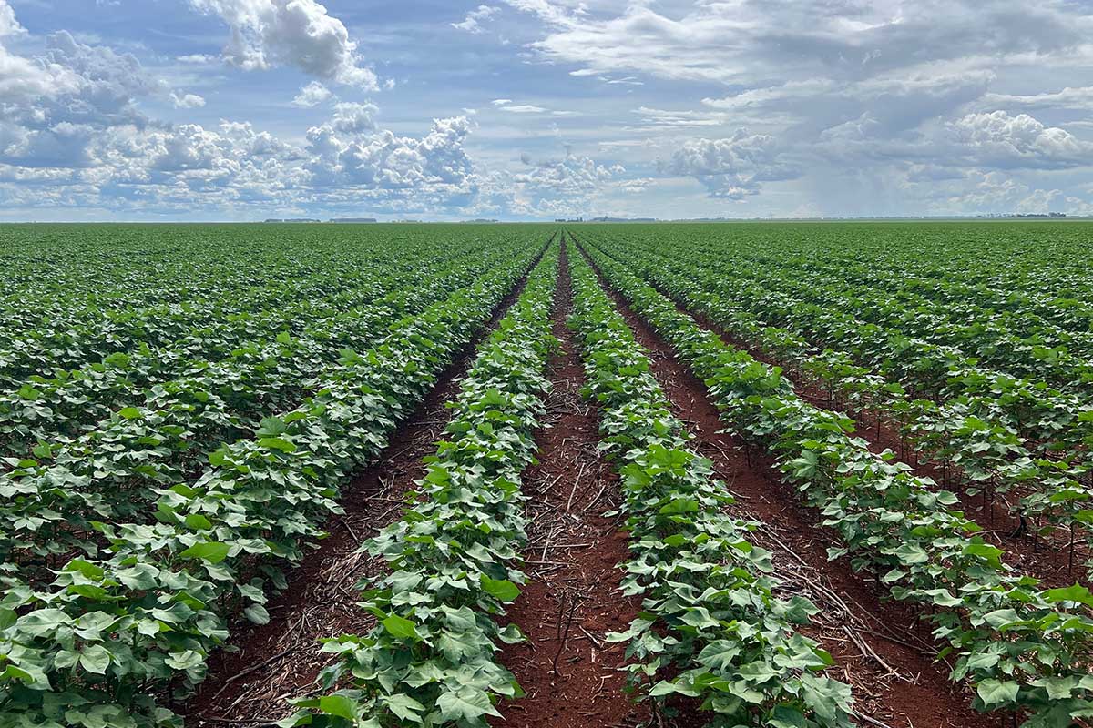 The Power of Global Markets