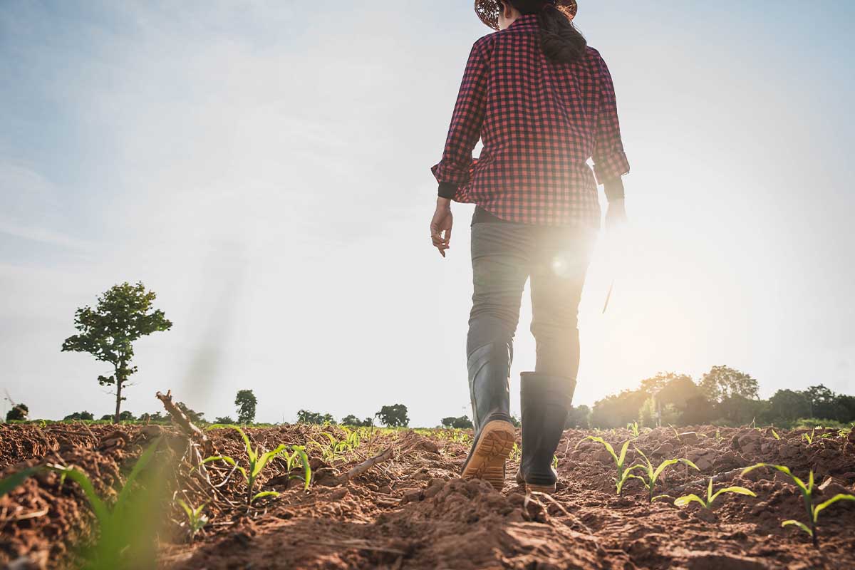 The Women Behind Medicare