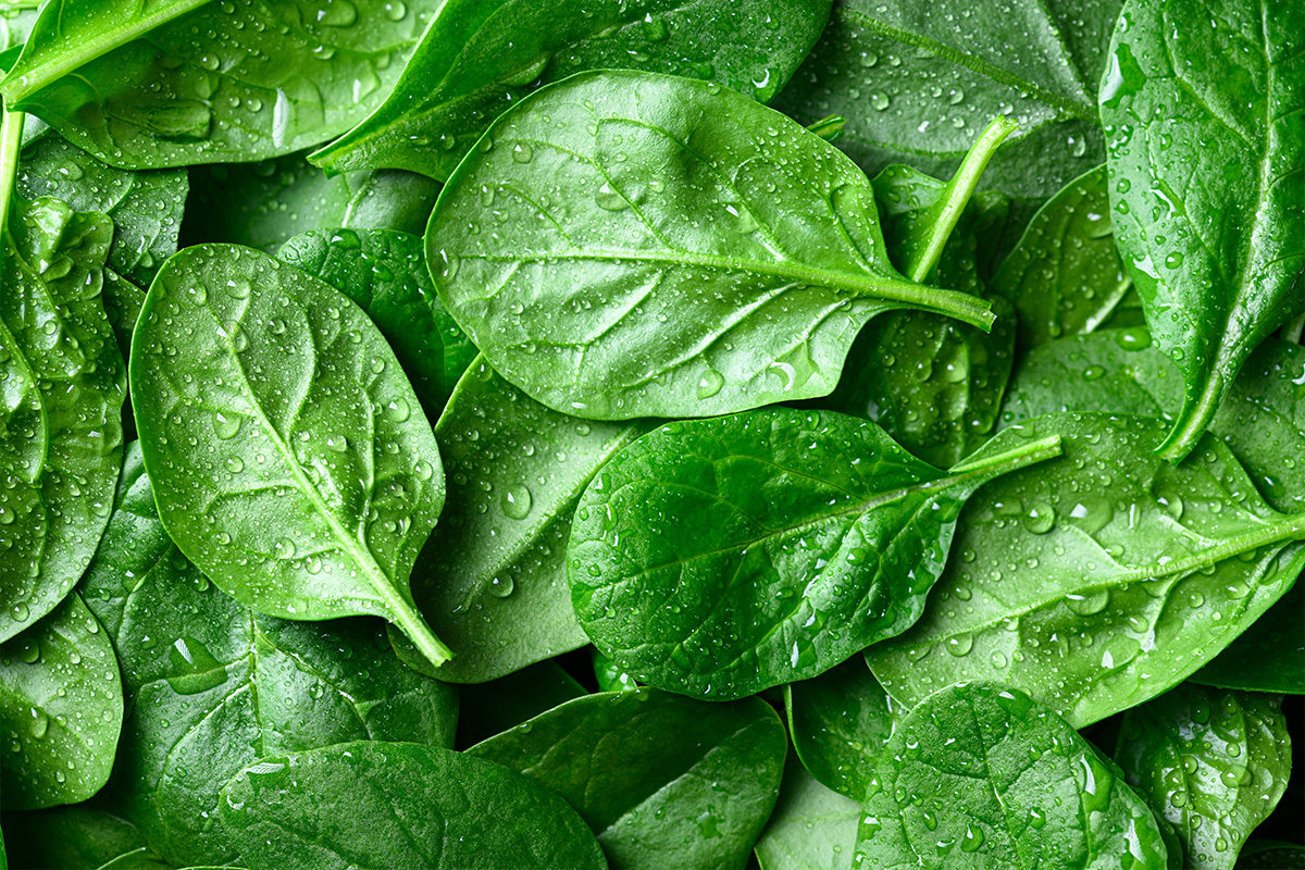 Three Days Totally Raw