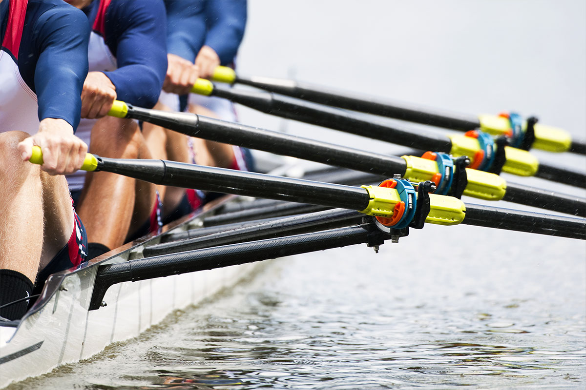 Row, Row, Row Your Way to Fitness