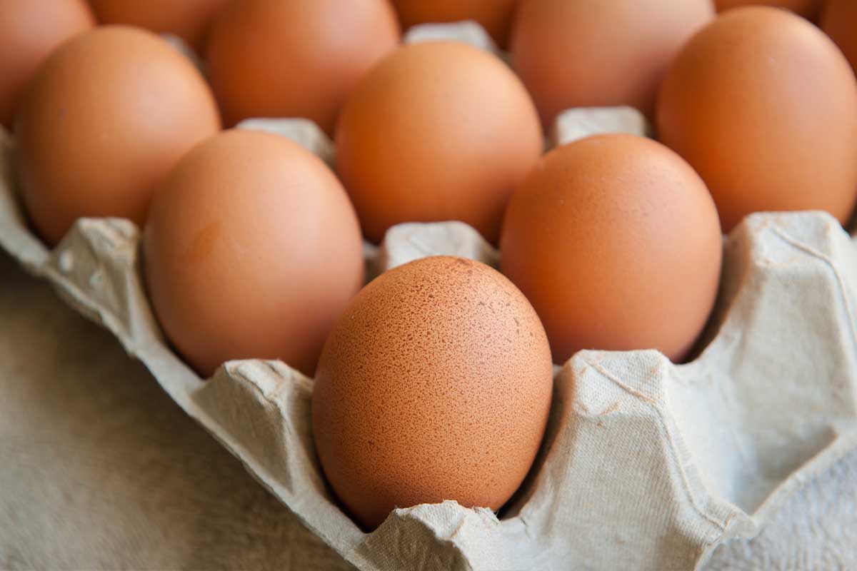 What’s Good for the Hen