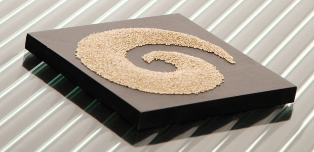 Is Salba the New Black?