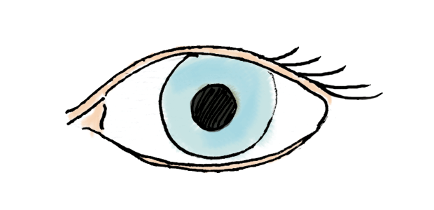 Versatile Vitamin B12