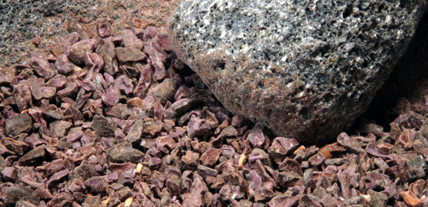 Superfood Spotlight: Cocoa Nibs