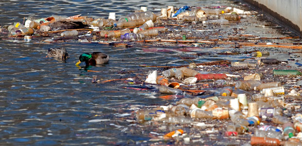 Say “No” To Bottled Water – it’s Bottled Water-Free Day