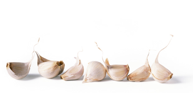 Gardening With Garlic