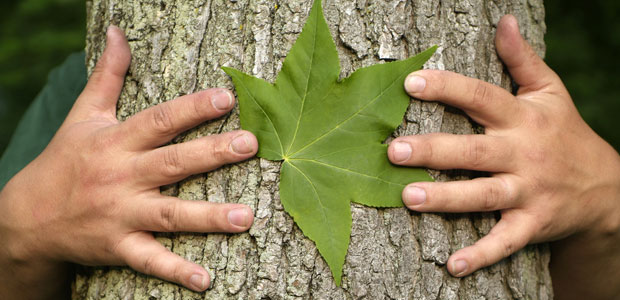 What Did You Do For Earth Day?