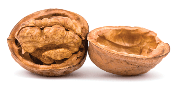 Treat Your Brain Well