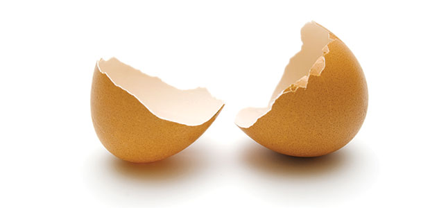 Natural Eggshell Membrane