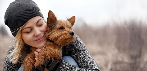 Your Pet’s Heart Health