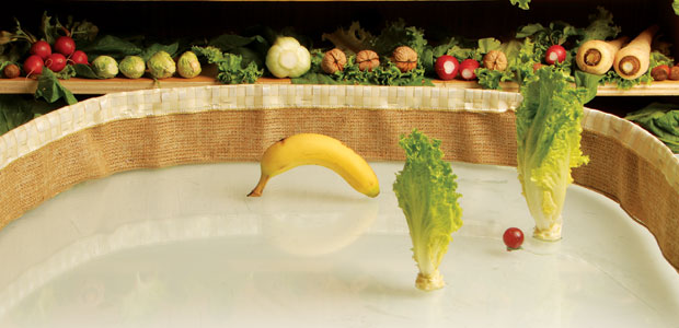 Big Box Eyes Organics