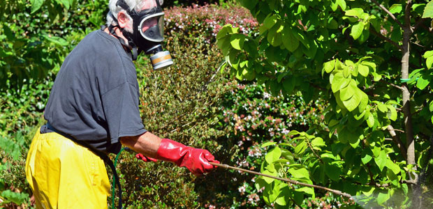 New Canadian Literature Review Warns Against Pesticides