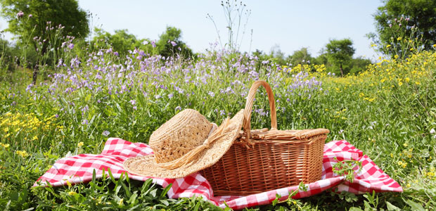 Meatless Monday: Vegan Picnic Menu