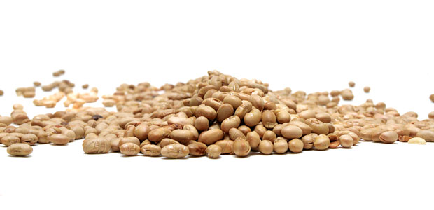 What’s So Good About Soy, Anyway?