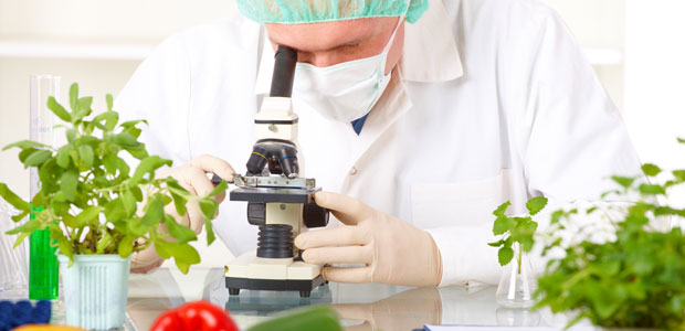 World’s Healthiest Meal Achieved through Science