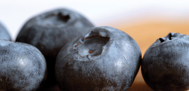 Cranberry and Blueberry