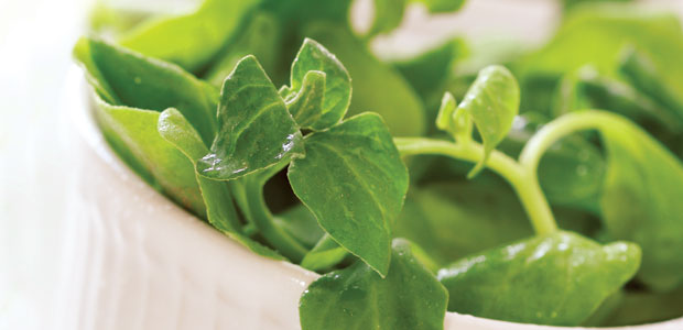 Breaking Bad Bone Habits