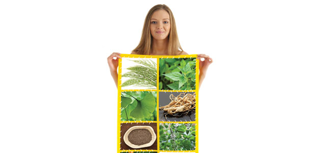 Nature’s Guide to Holistic Health