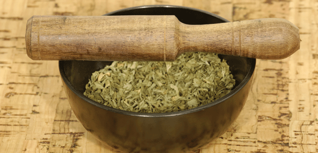 Holistic Health Care