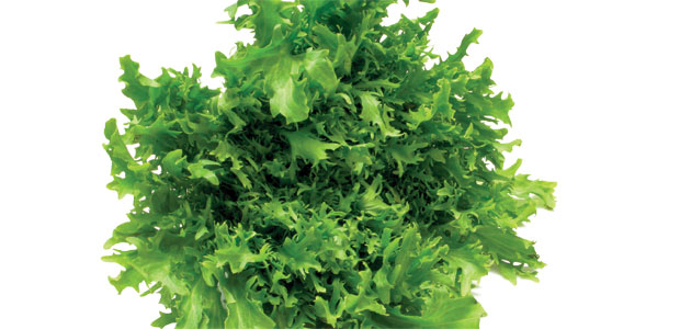 Everything Green to Eat