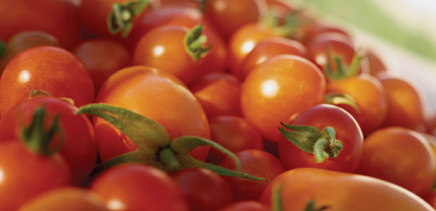 Loving Lycopene