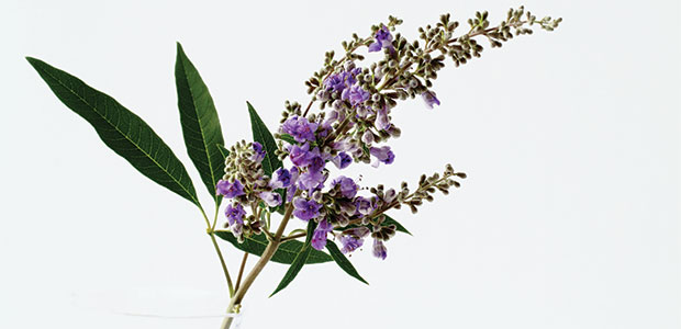 Premenstrual Syndrome Relief