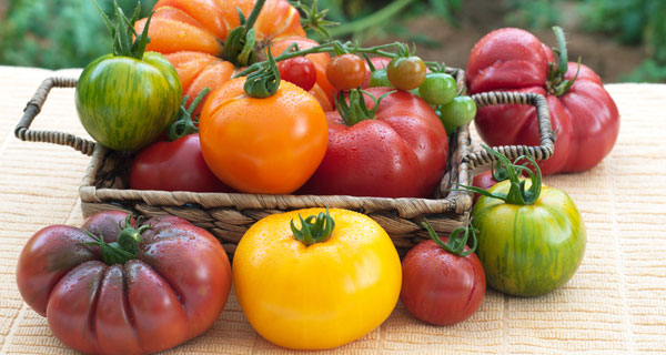 Look to Indigenous Groups for Insight into Preserving Biodiversity