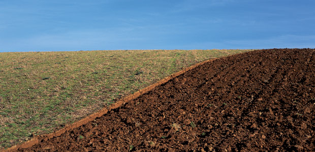 Old MacDonald Had a Seed