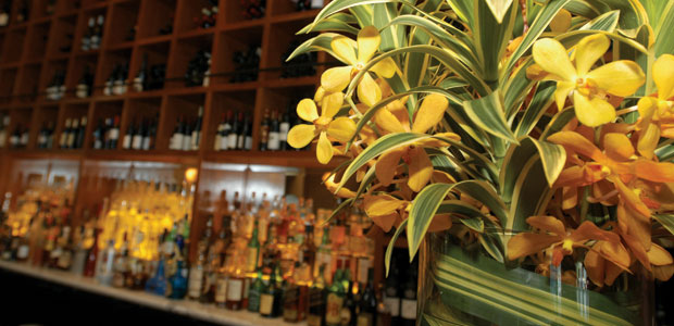 This February, Go West