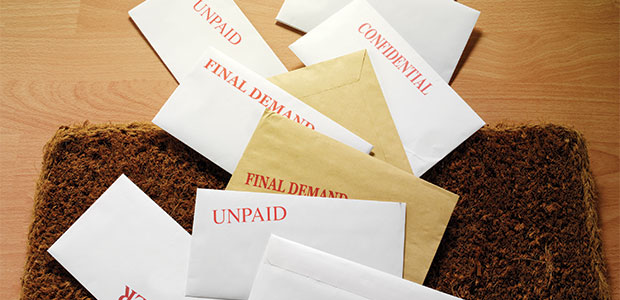 Wealth and Your Health