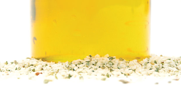 Hear the Hemp Oil Buzz