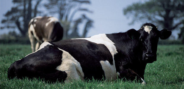 The Fight For the Future of Food