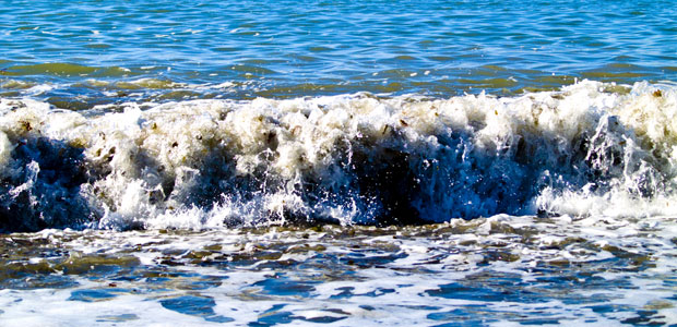 Mr. Floatie Finally Gets the Treatment He Deserves