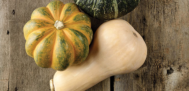 Good Gourd