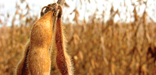 Good Guy or Bad Guy?