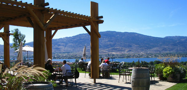 Here’s to Hypoallergenic Wine!