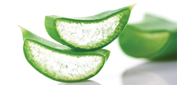 Inflammatory Bowel Disease