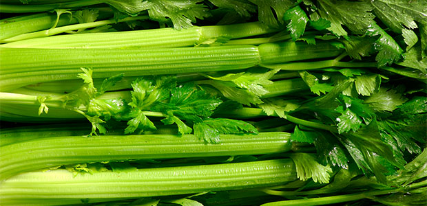 Take Stalk in Celery