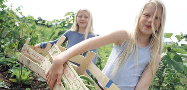 Organics: Hype or Hope?