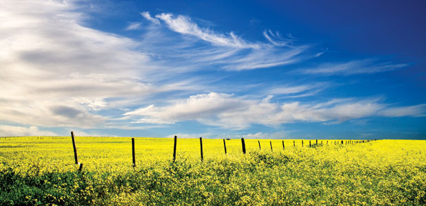 Alternative Nobel Prize