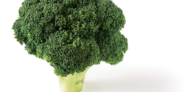 A Powerful Little Tree