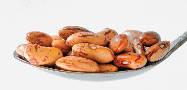 A New Look for Fibre