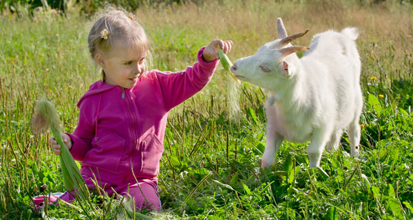 Growing Up On a Farm Lowers Your Risk of Developing Allergies