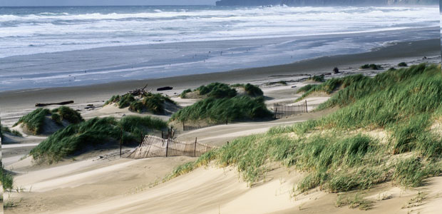 Nutritional Blue-Green Algae