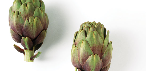 Probiotics or Prebiotics?