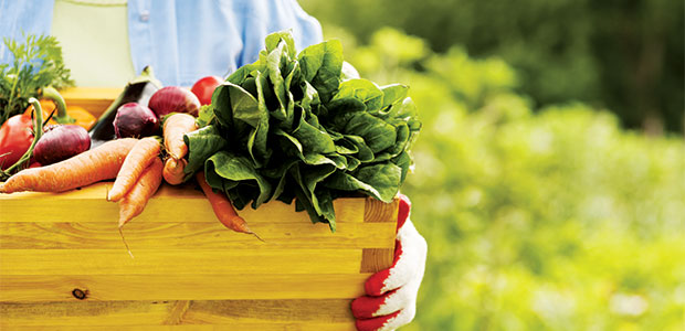 Nutrition for Seniors