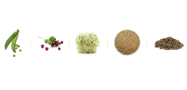 Add Protein, Burn Calories