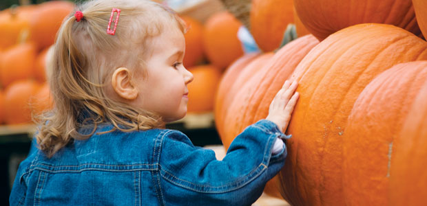 Not Just a Scary Face